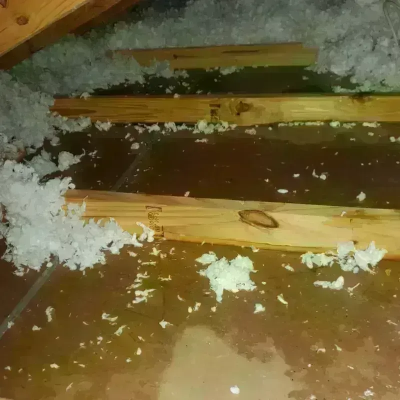 Attic Water Damage in Todd County, SD